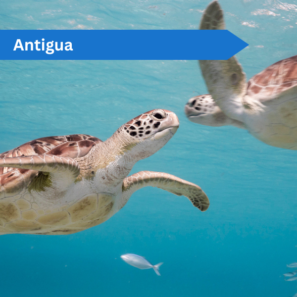 Antigua