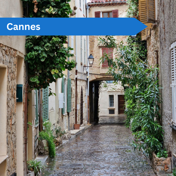Cannes auf eigene Faust