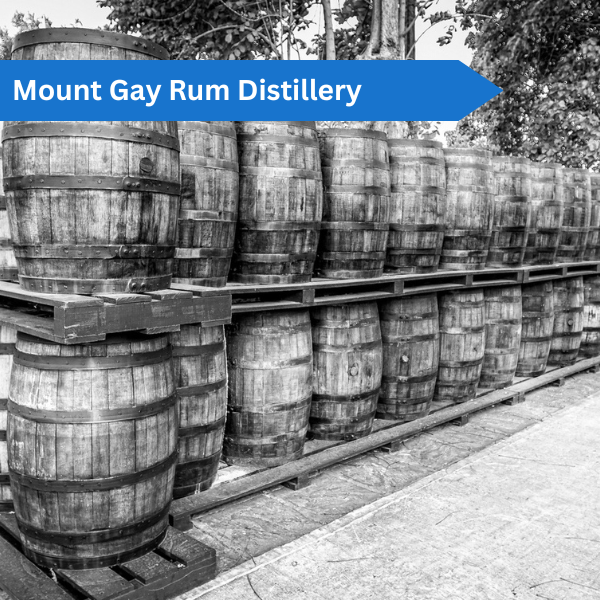 Mount Gay Rum Distillery
